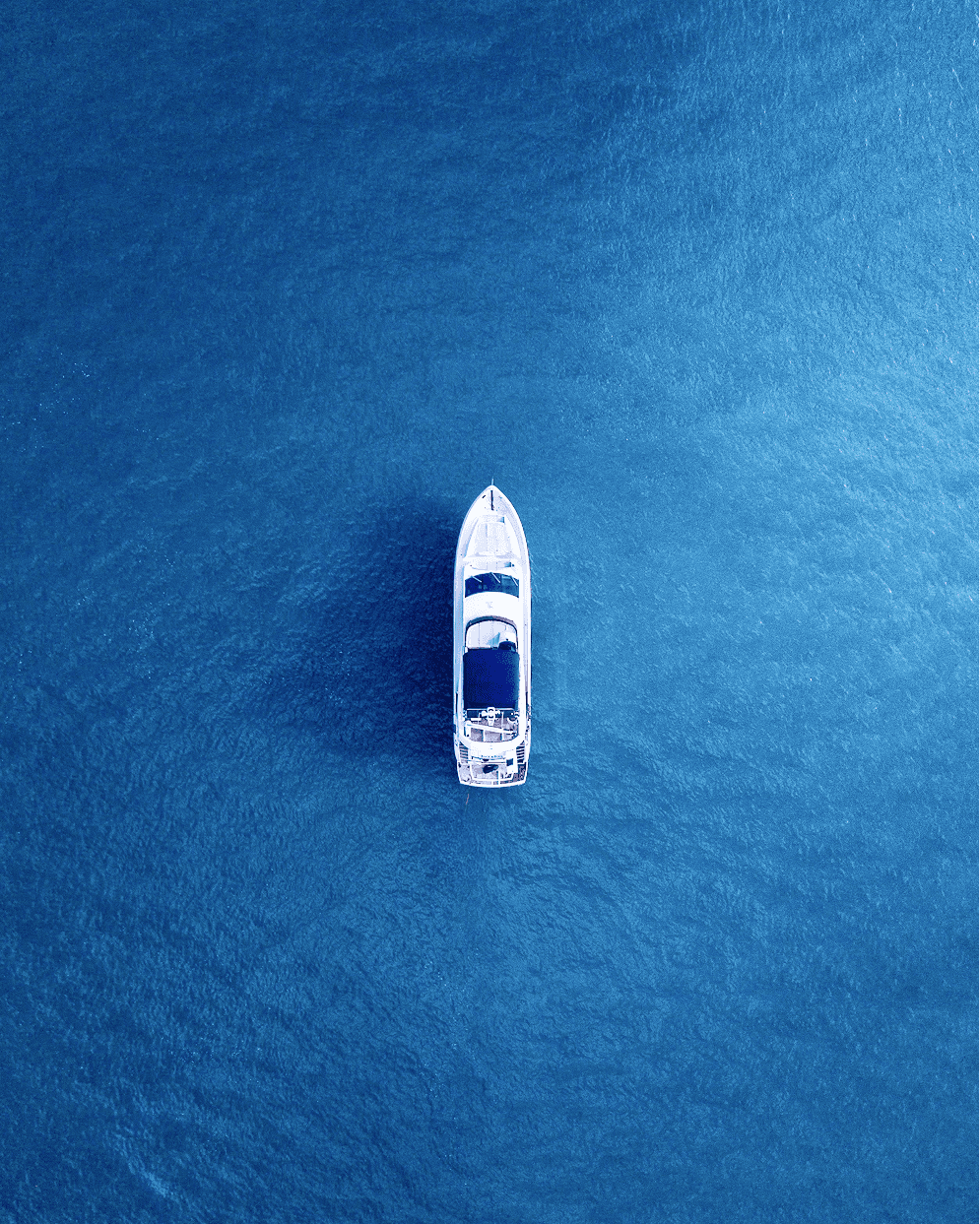 yacht-top.png